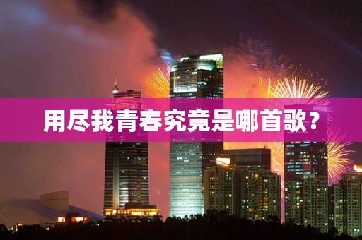 用尽我青春究竟是哪首歌？