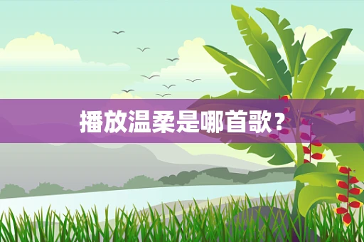 播放温柔是哪首歌？