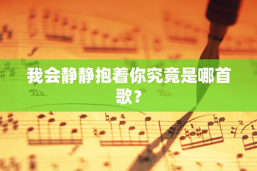 我会静静抱着你究竟是哪首歌？