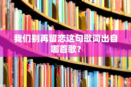 我们别再留恋这句歌词出自哪首歌？