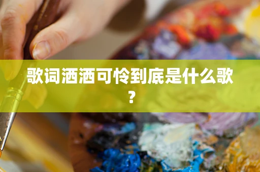 歌词洒洒可怜到底是什么歌？