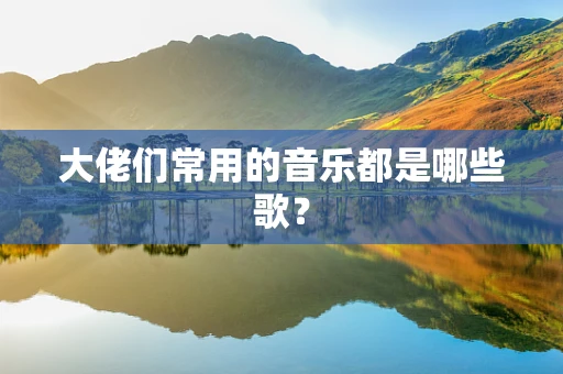 大佬们常用的音乐都是哪些歌？