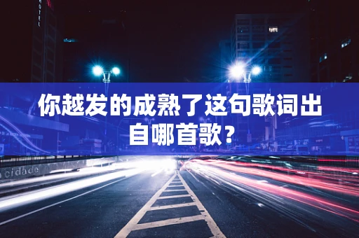 你越发的成熟了这句歌词出自哪首歌？