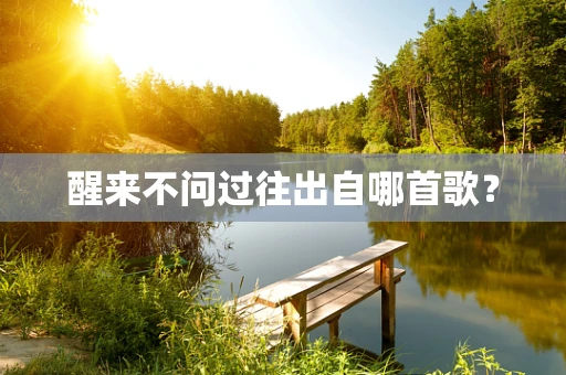 醒来不问过往出自哪首歌？