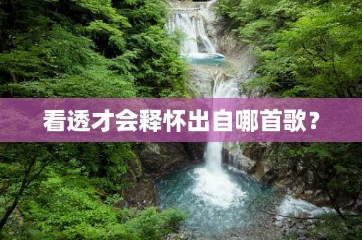 看透才会释怀出自哪首歌？