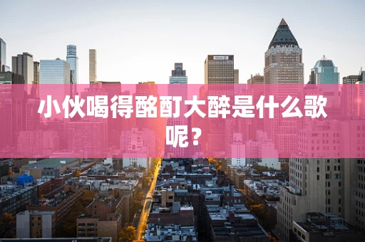 小伙喝得酩酊大醉是什么歌呢？