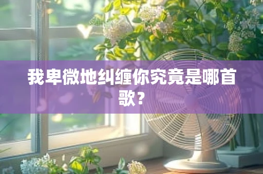 我卑微地纠缠你究竟是哪首歌？