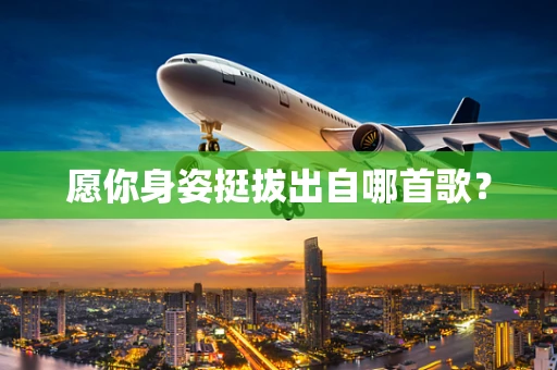 愿你身姿挺拔出自哪首歌？