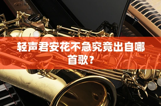 轻声君安花不急究竟出自哪首歌？