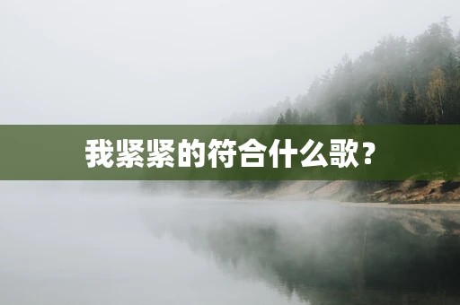 我紧紧的符合什么歌？