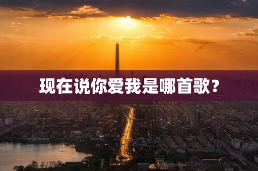 现在说你爱我是哪首歌？