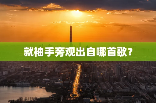 就袖手旁观出自哪首歌？
