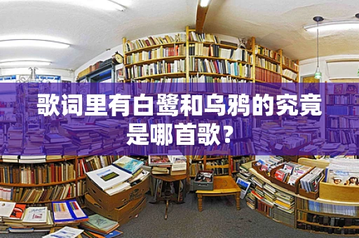 歌词里有白鹭和乌鸦的究竟是哪首歌？
