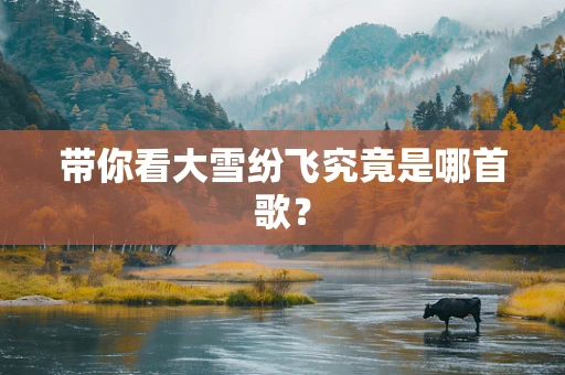 带你看大雪纷飞究竟是哪首歌？