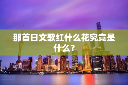 那首日文歌红什么花究竟是什么？