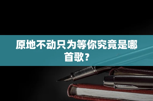 原地不动只为等你究竟是哪首歌？