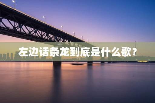 左边话条龙到底是什么歌？