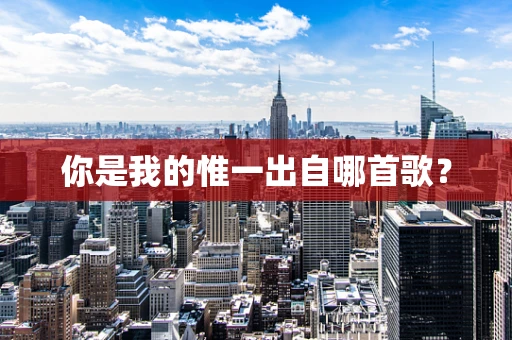 你是我的惟一出自哪首歌？