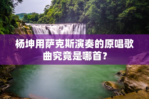 杨坤用萨克斯演奏的原唱歌曲究竟是哪首？