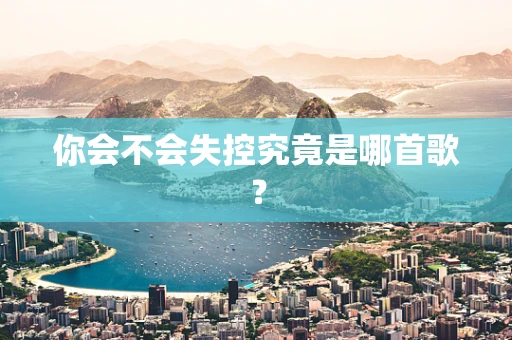 你会不会失控究竟是哪首歌？