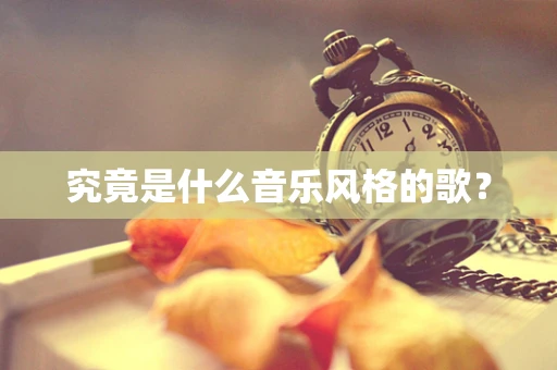 究竟是什么音乐风格的歌？