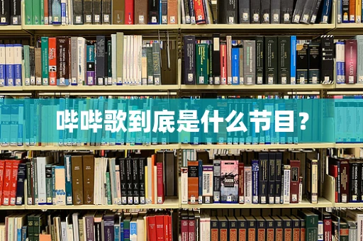 哔哔歌到底是什么节目？