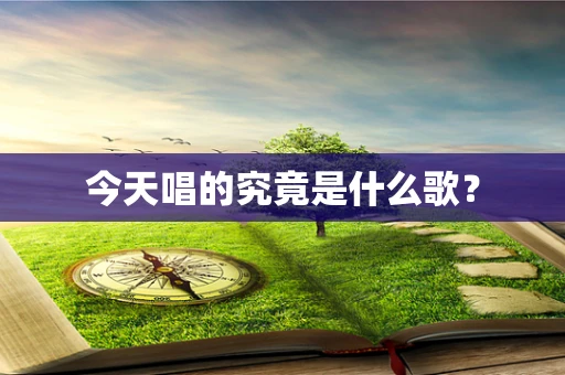 今天唱的究竟是什么歌？
