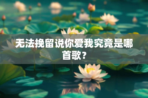 无法挽留说你爱我究竟是哪首歌？