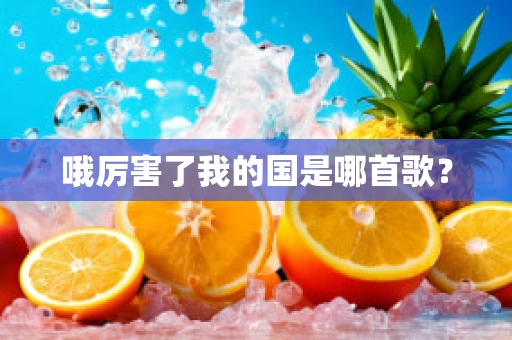 哦厉害了我的国是哪首歌？