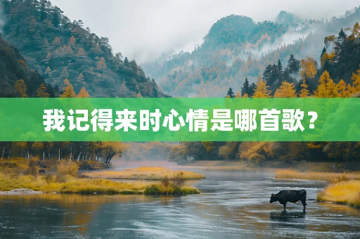 我记得来时心情是哪首歌？