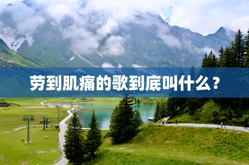 劳到肌痛的歌到底叫什么？
