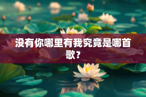 没有你哪里有我究竟是哪首歌？