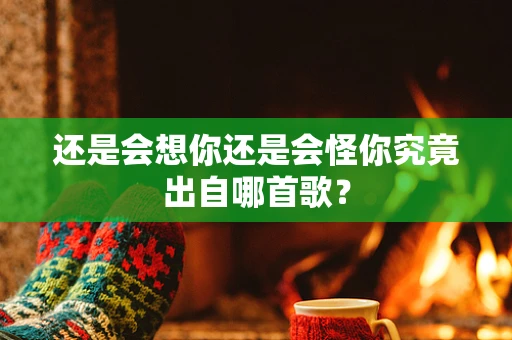 还是会想你还是会怪你究竟出自哪首歌？