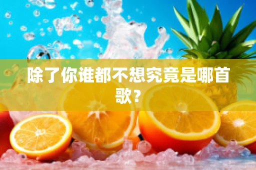 除了你谁都不想究竟是哪首歌？