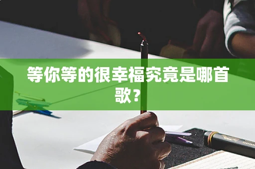 等你等的很幸福究竟是哪首歌？