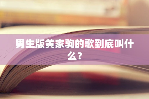 男生版黄家驹的歌到底叫什么？