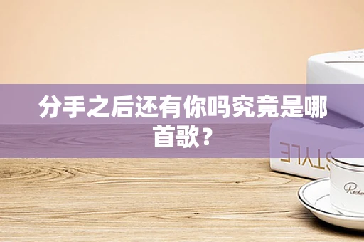 分手之后还有你吗究竟是哪首歌？
