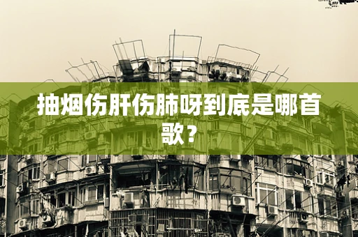 抽烟伤肝伤肺呀到底是哪首歌？