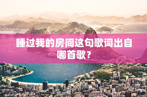 睡过我的房间这句歌词出自哪首歌？