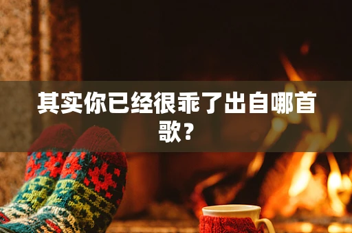 其实你已经很乖了出自哪首歌？