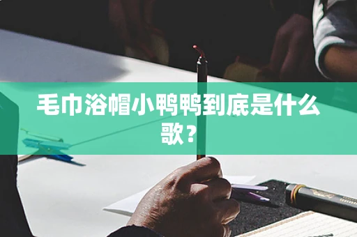 毛巾浴帽小鸭鸭到底是什么歌？