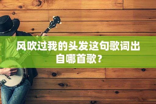 风吹过我的头发这句歌词出自哪首歌？