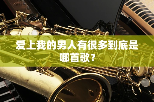 爱上我的男人有很多到底是哪首歌？