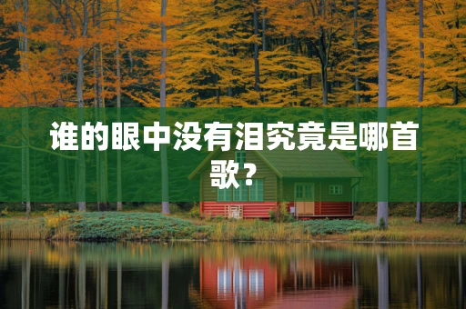 谁的眼中没有泪究竟是哪首歌？