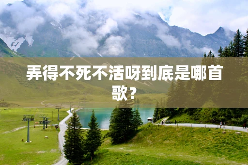 弄得不死不活呀到底是哪首歌？