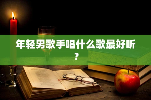 年轻男歌手唱什么歌最好听？