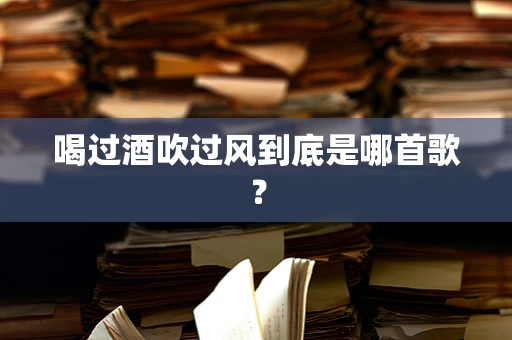 喝过酒吹过风到底是哪首歌？
