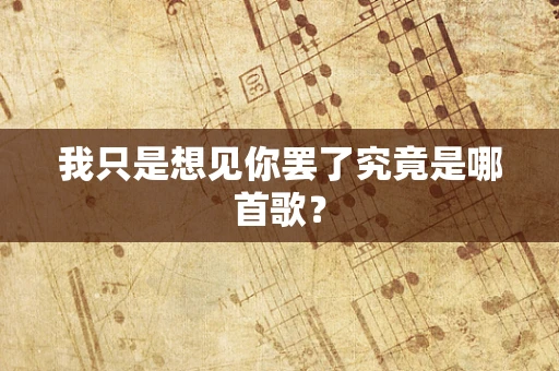 我只是想见你罢了究竟是哪首歌？