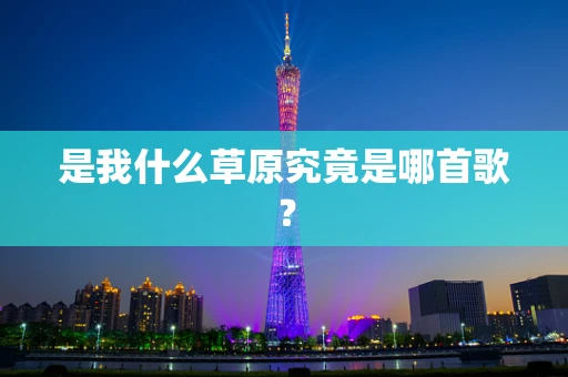 是我什么草原究竟是哪首歌？