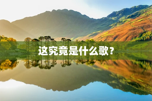 这究竟是什么歌？